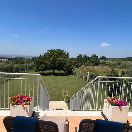 La Terrazza Sul Ciliegio Daire Marino Dış mekan fotoğraf