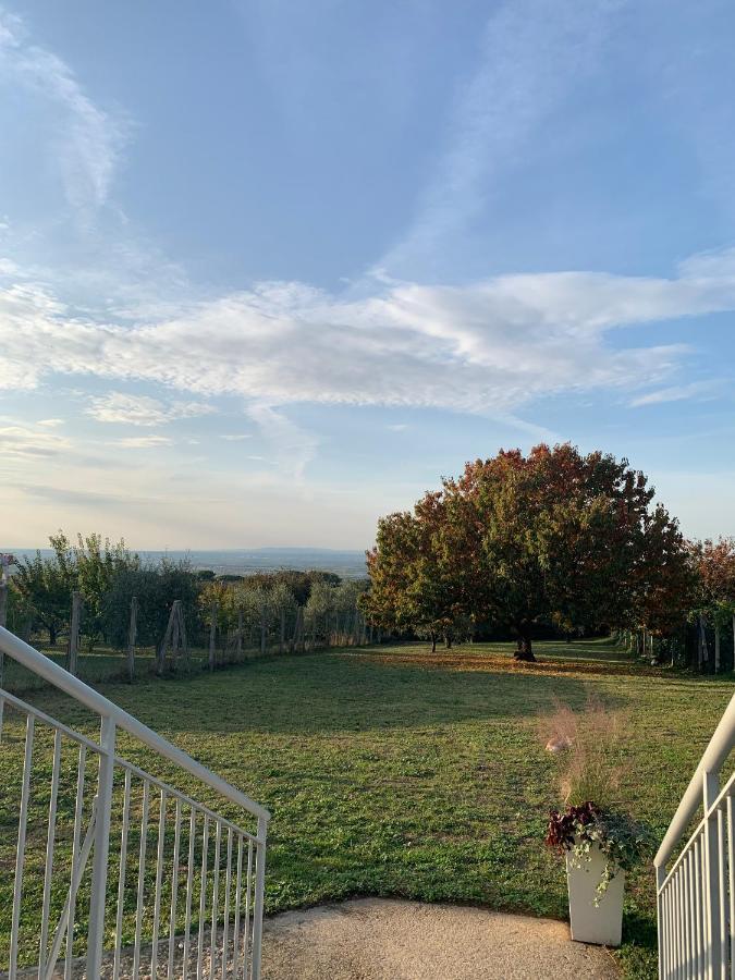 La Terrazza Sul Ciliegio Daire Marino Dış mekan fotoğraf