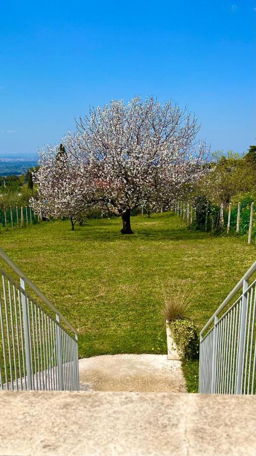 La Terrazza Sul Ciliegio Daire Marino Dış mekan fotoğraf