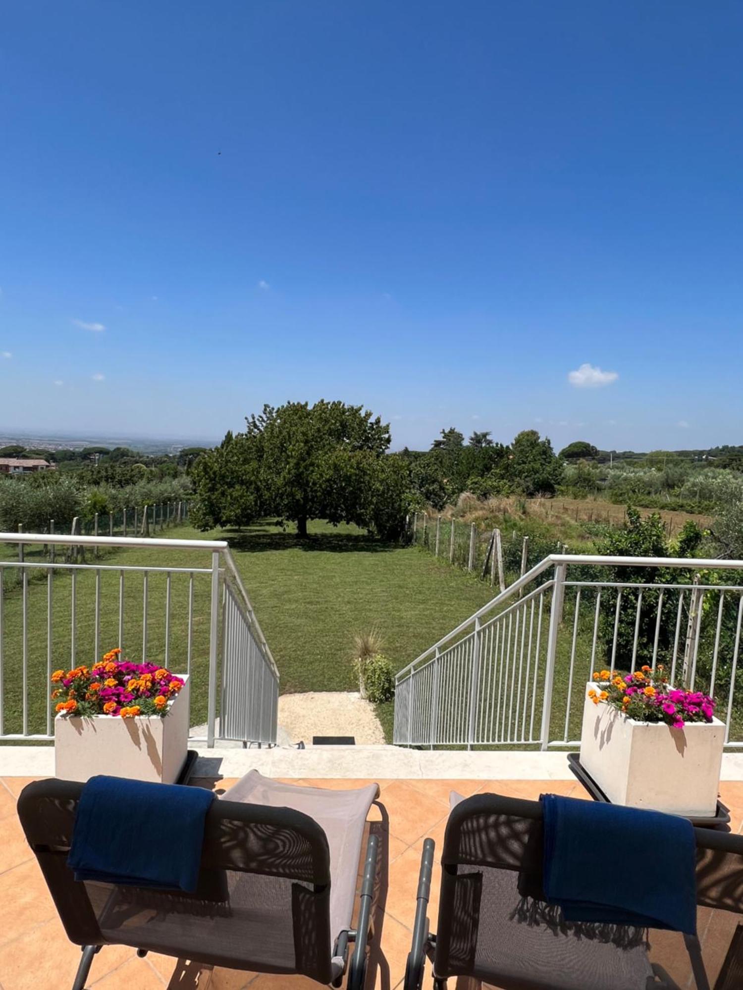 La Terrazza Sul Ciliegio Daire Marino Dış mekan fotoğraf